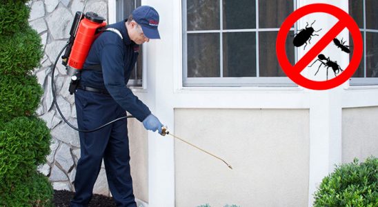 Hanak Tahtakurusu İlaçlama böcek ilaçlama ve haşere kontrolü — ilaclama-tr.com
